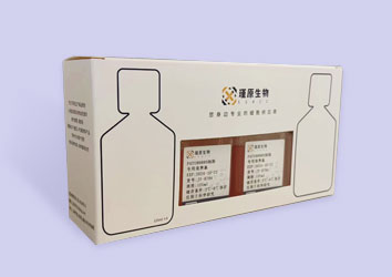 小鼠肾成纤维细胞专用培养基